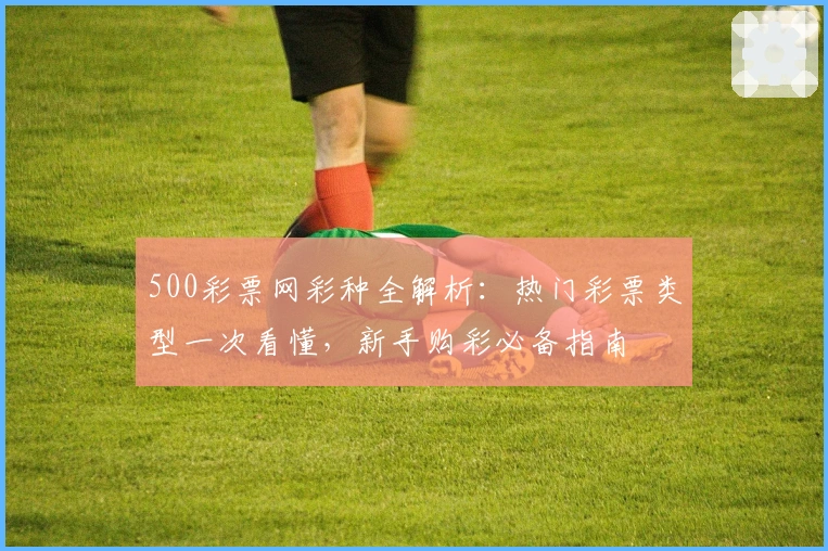 500彩票网彩种全解析：热门彩票类型一次看懂，新手购彩必备指南