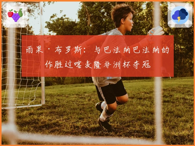 雨果·布罗斯：与巴法纳巴法纳的合作胜过喀麦隆非洲杯夺冠