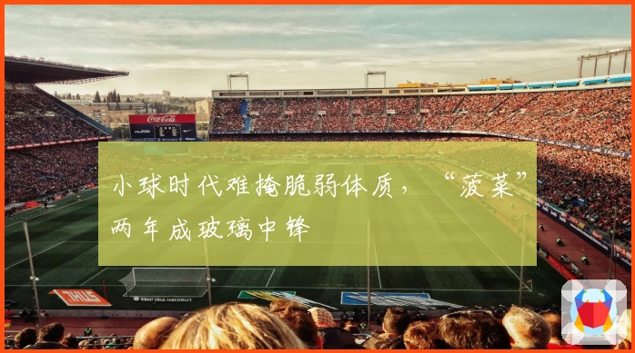 小球时代难掩脆弱体质，“菠菜”两年成玻璃中锋