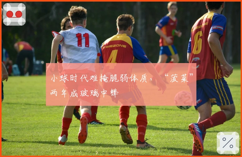 小球时代难掩脆弱体质，“菠菜”两年成玻璃中锋