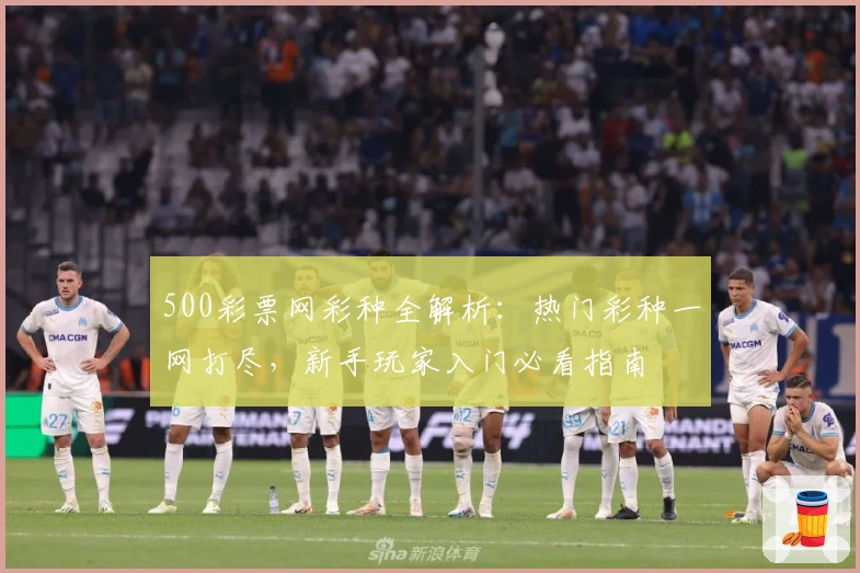 500彩票网彩种全解析：热门彩种一网打尽，新手玩家入门必看指南